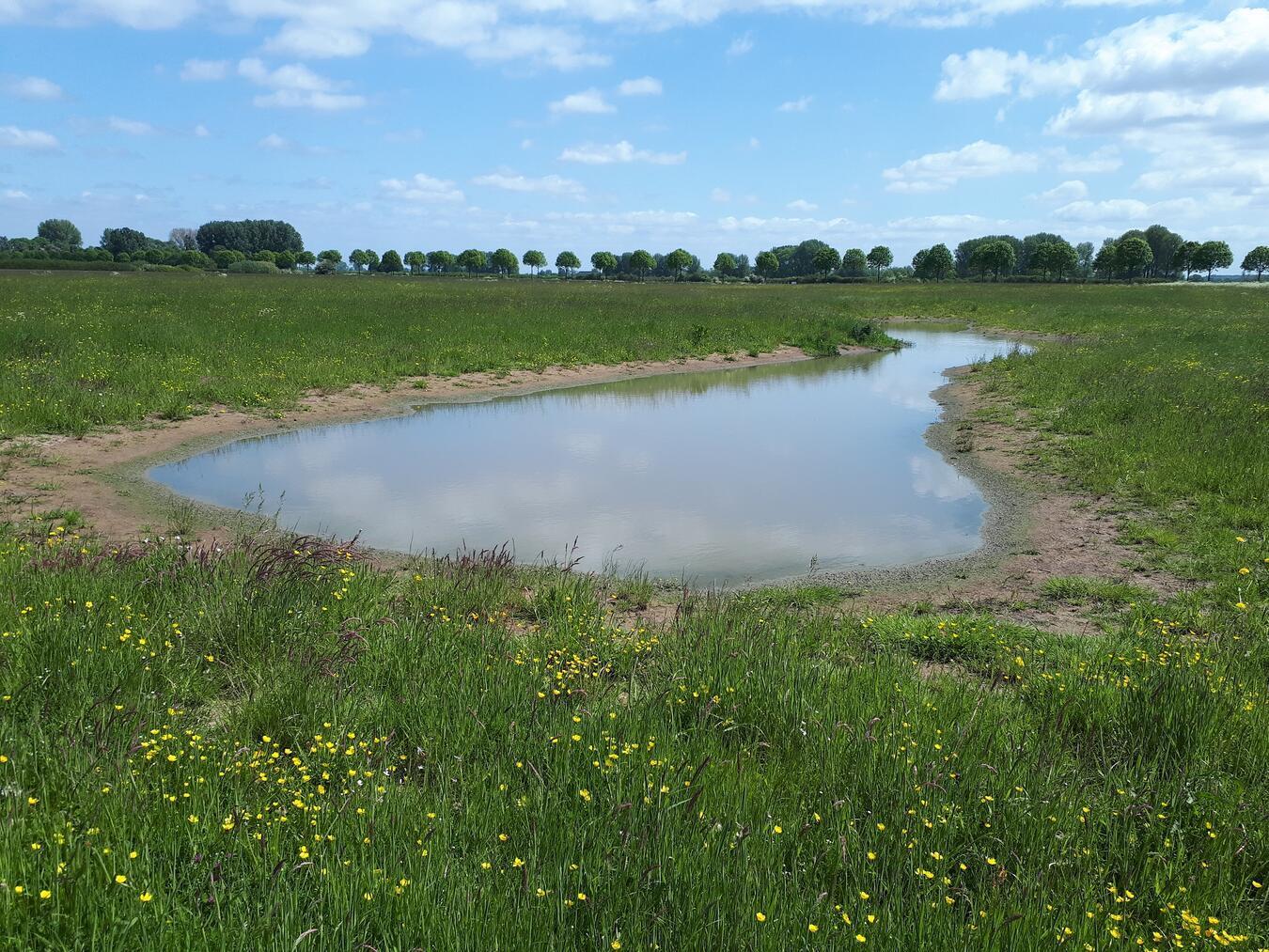 Eine Blänke in der Düffel. Foto: Nabu/Steffi Heese