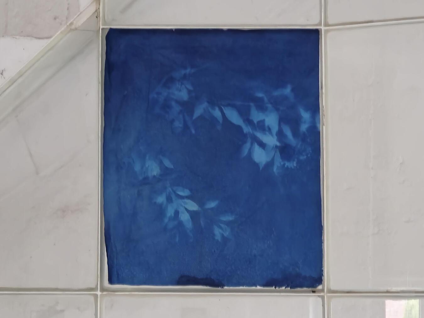 Eine der Cyanotypien von Kathrin Edwards.NN-Foto: HF.