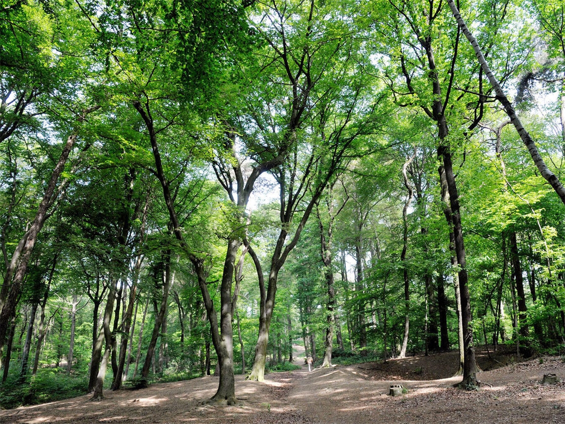 Eine geführte Wanderung zur 400 Jahre alten Fossa Eugenia findet am Samstag, 5. September, statt. NN-Foto: Archiv/Rüdiger Dehnen