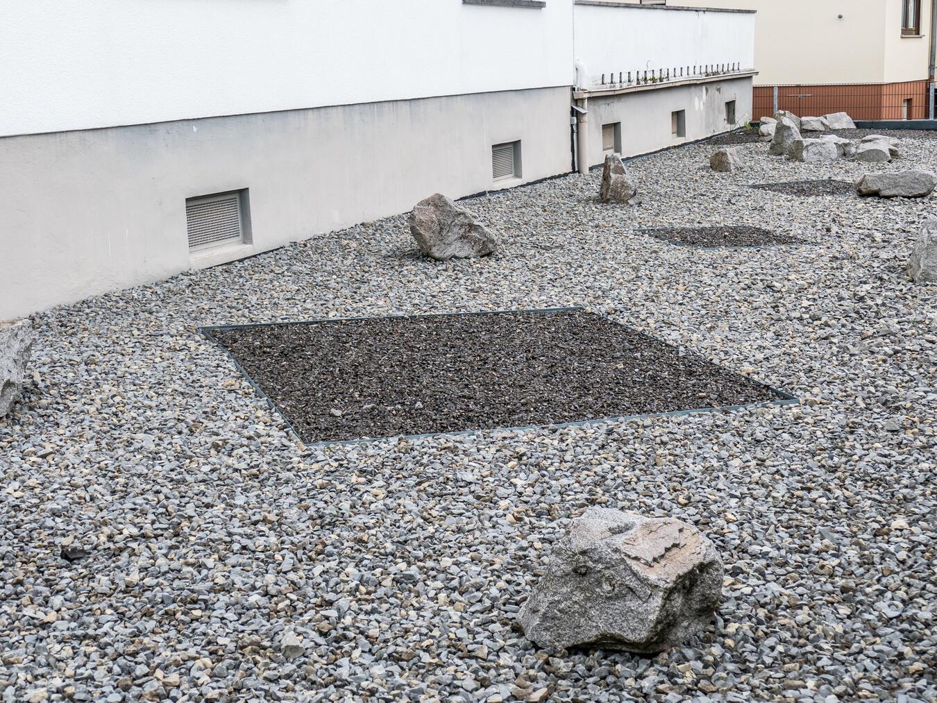 Xantener zeigt Schottergarten an–und muss selbst zahlen Einen Schottergarten wie diesen hat der Xantener der Stadt gemeldet. Foto: Dietrich Leppert / stock.adobe.com
