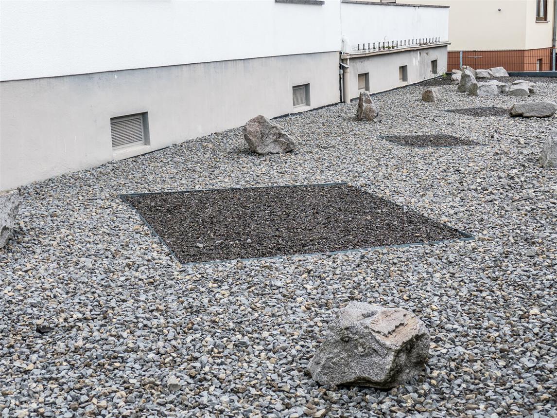 Einen Schottergarten wie diesen hat der Xantener der Stadt gemeldet. Foto: Dietrich Leppert / stock.adobe.com