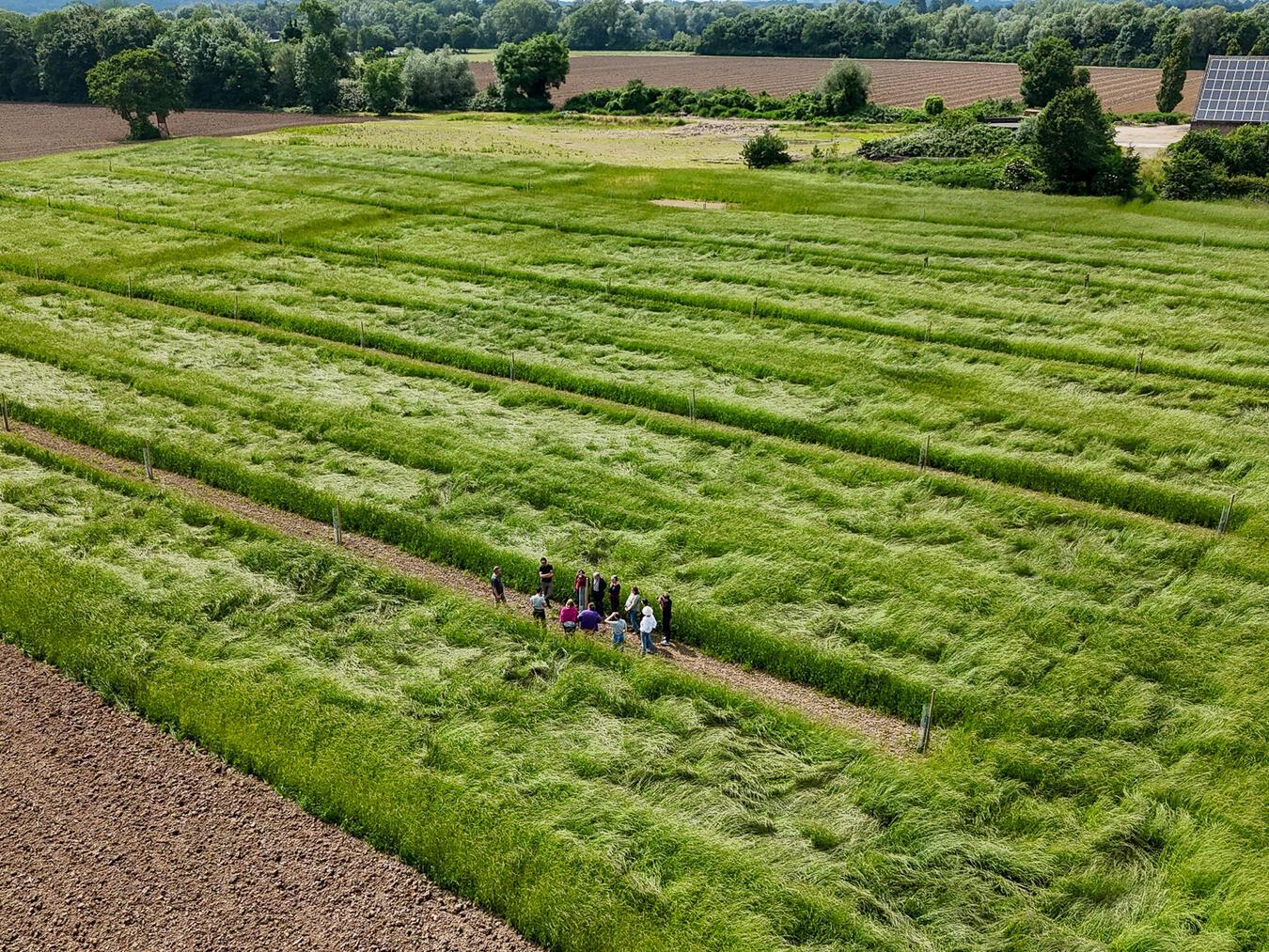 Nachhaltige Landwirtschaft der Zukunft erleben Einige Teilnehmer bei der Begehung eines neuangepflanzten Agroforsts. Foto: Jannis Menne/HSRW
