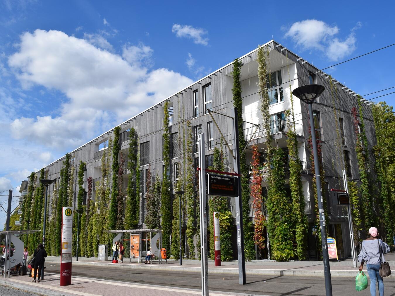Fassadenbegrünung und Modernisierungsberatung Entscheidende Faktoren für eine positive innerstädtische Entwicklung und Konkurrenzfähigkeit sind eine hohe Aufenthalts- und Lebensqualität sowie eine klimagerechte Infrastruktur. Foto: Bundesverband Gebäudegrün