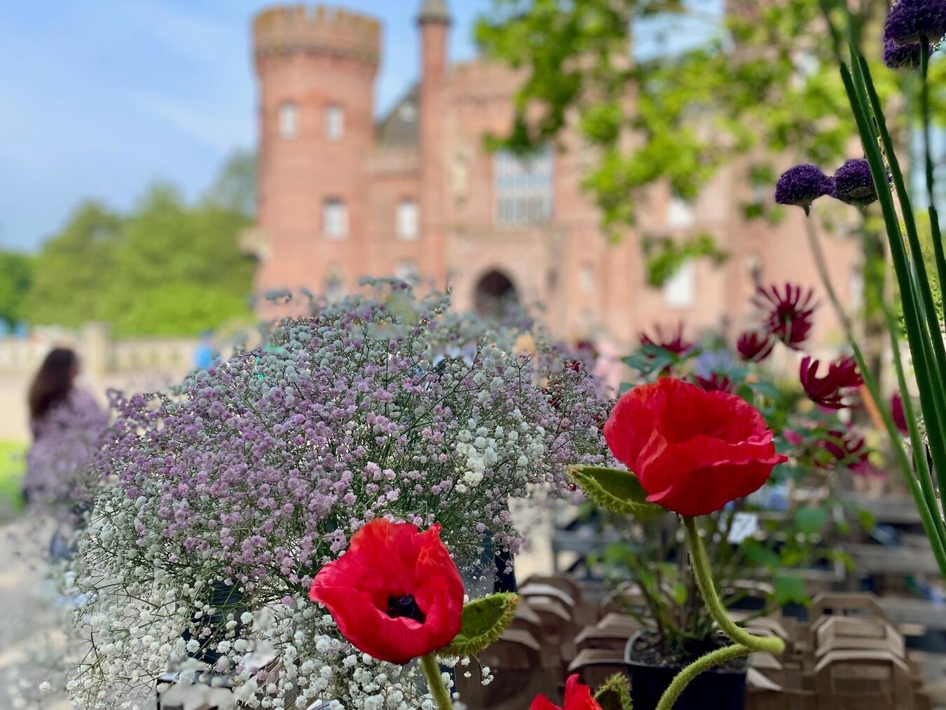 Es gibt Blumiges in Hülle und Fülle, dazu Gartenkeramik, Kunst- und Antiquitäten. Foto: omms.net