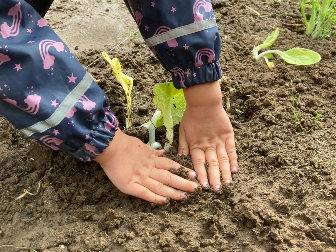 "Person beim Gärtnern im Garten, Kneipp-Verein Gelderland, Frühling, Gartenarbeit, Naturpflege"
