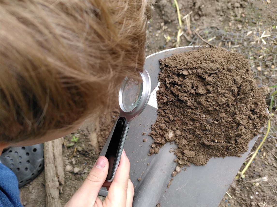 "Naturforscher bei Bodenanalyse im Feld während Expedition Boden(Leben), Foto von CSenger HSRW"
