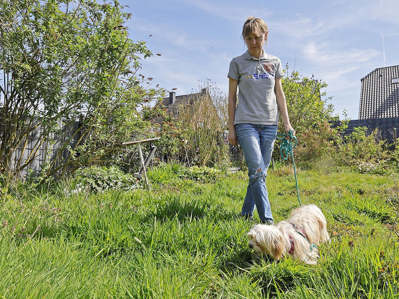 Fanny auf der Suche im eigenen Garten. NN-Foto: Theo Leie