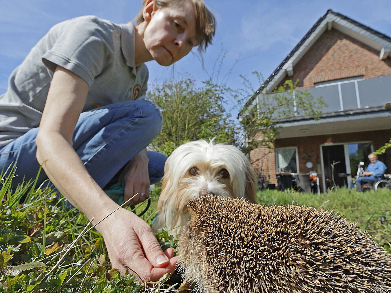 Fanny hat einen Igel gefunden – allerdings ist dieser Igel nur ein Dummy. NN-Foto: Theo Leie
