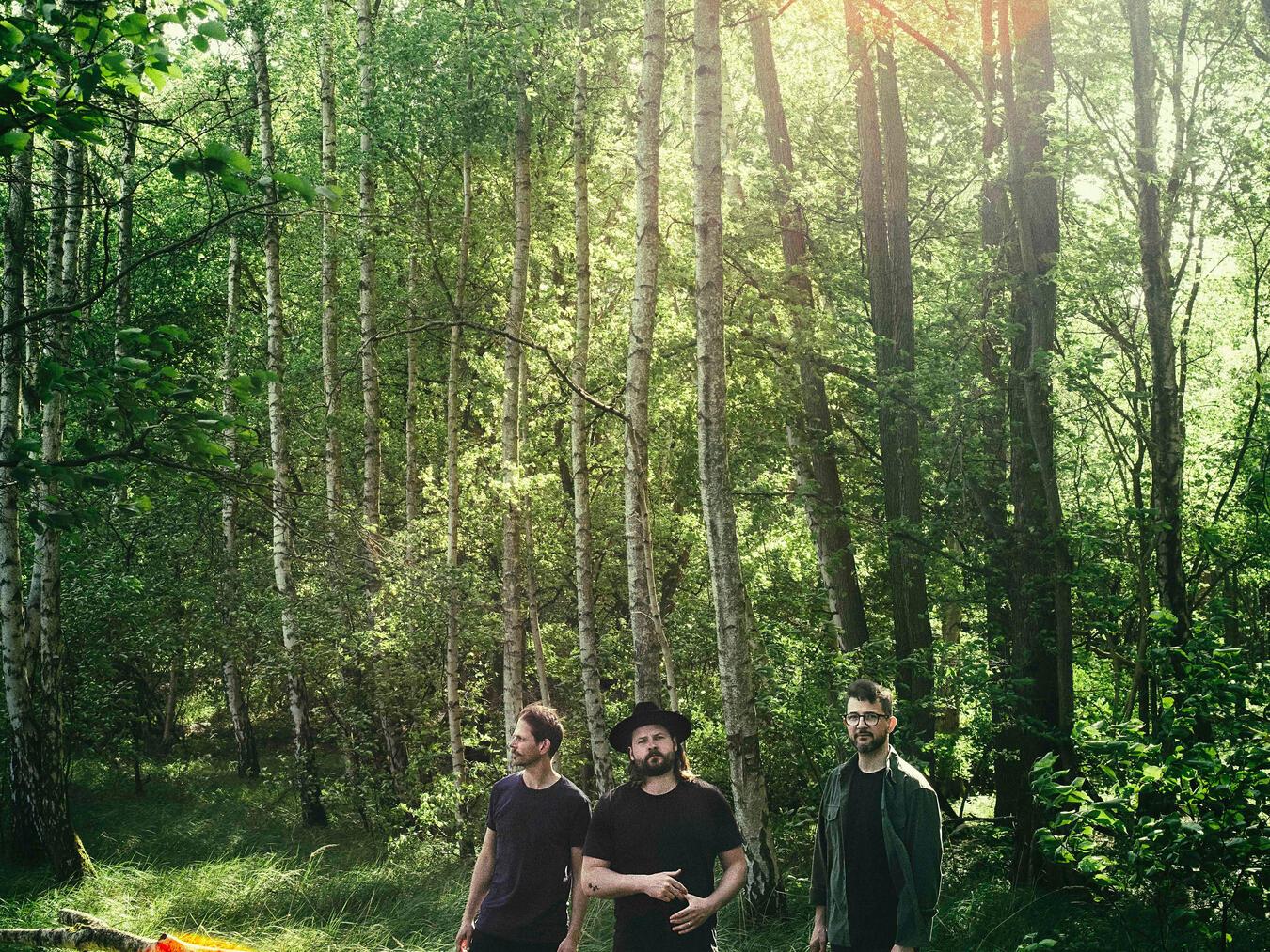 Fans von Folk, Rock und Pop können sich auf einen Abend voller musikalischer Höhepunkte in Dinslaken freuen. Foto: Marco Fischer