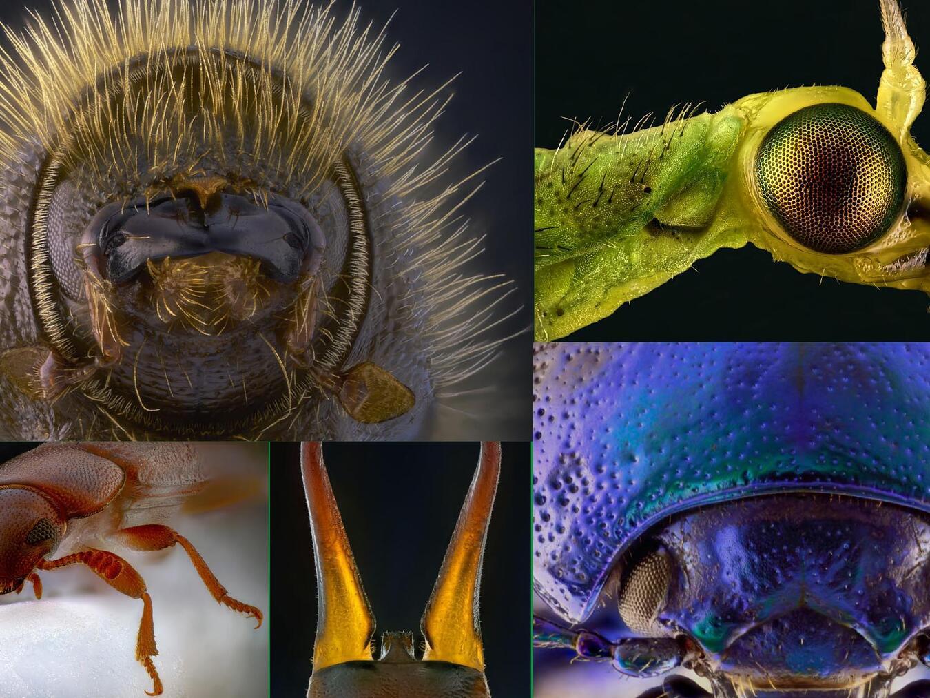 Foto: Dr. Ulrich Werneke