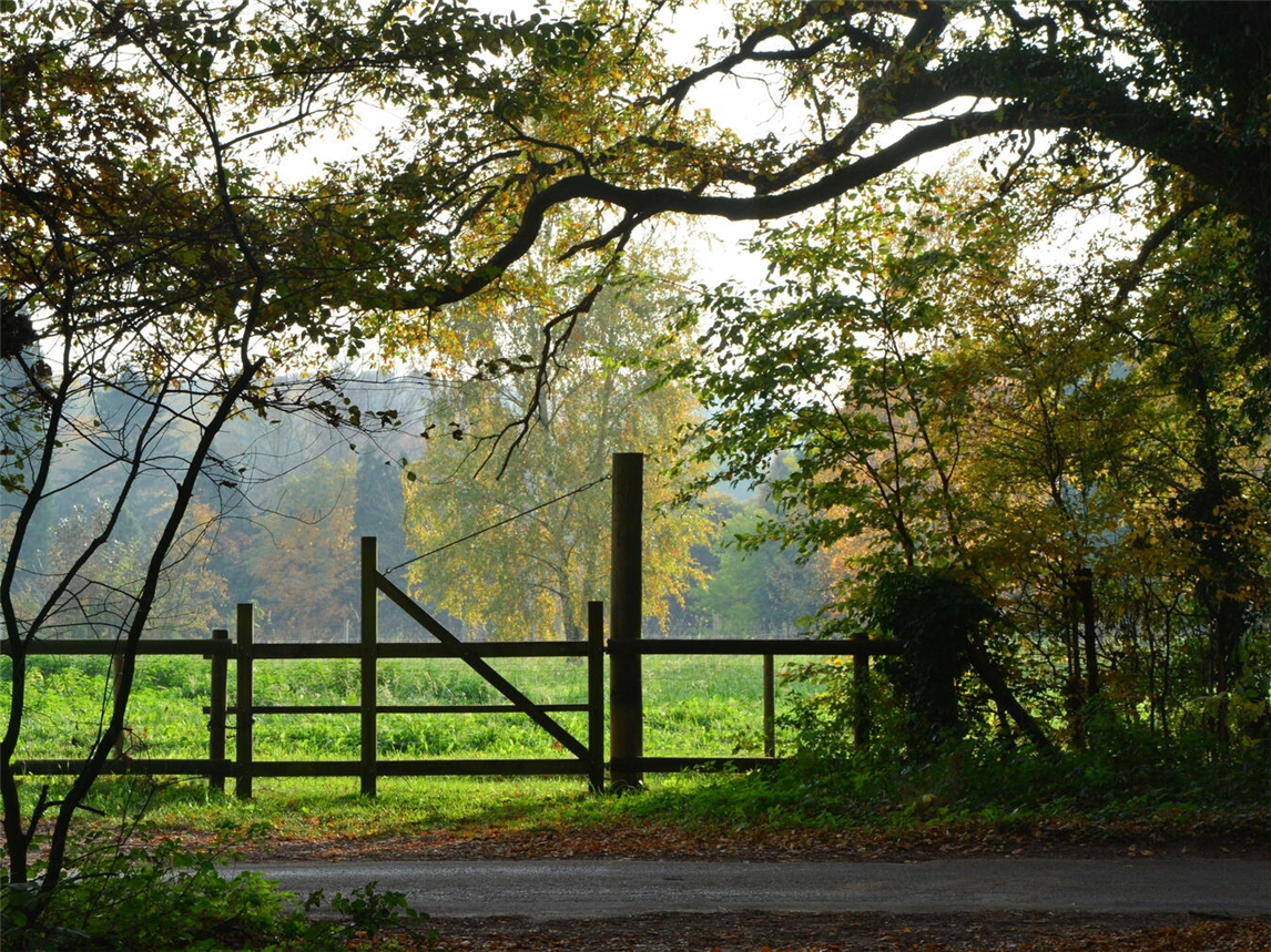 Foto: Josef van Aken