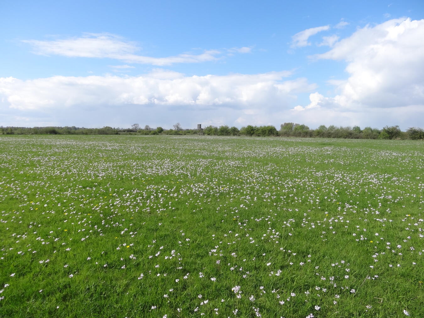 Foto: Nabu-Naturschutzstation/Steffi Heese