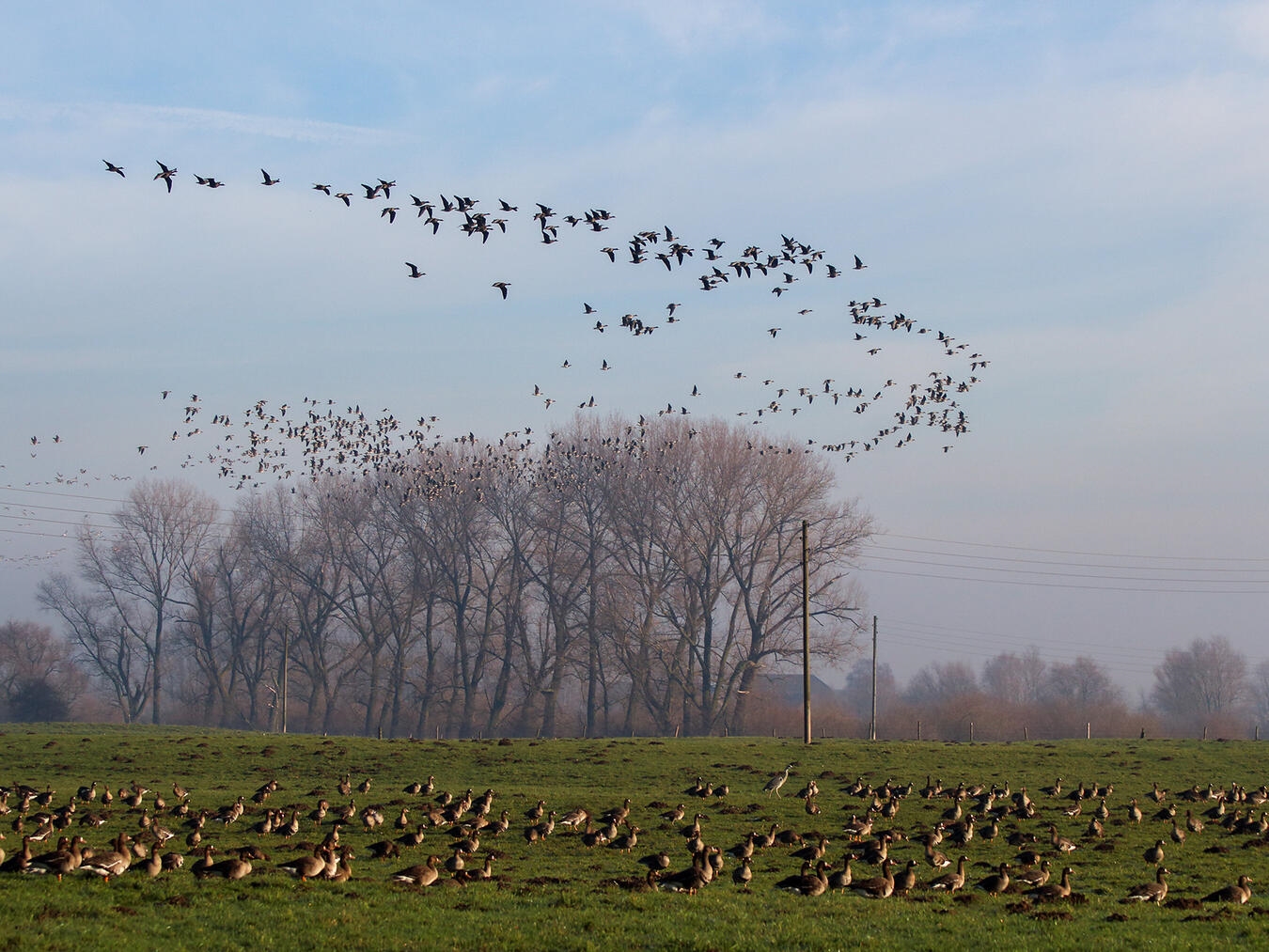 Foto: Nabu/Elena Brüggemeier