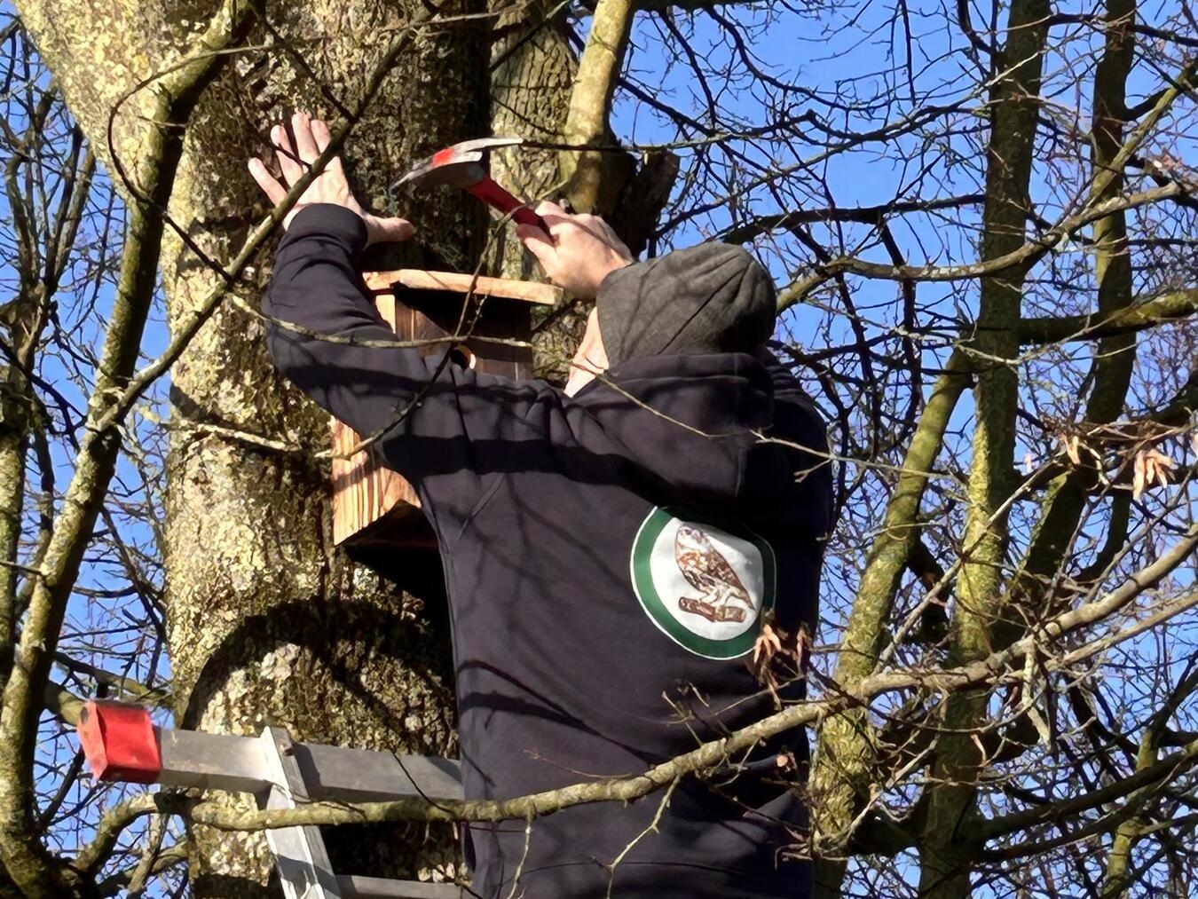 Foto: Ornithologische Arbeitsgemeinschaft Sonsbeck 