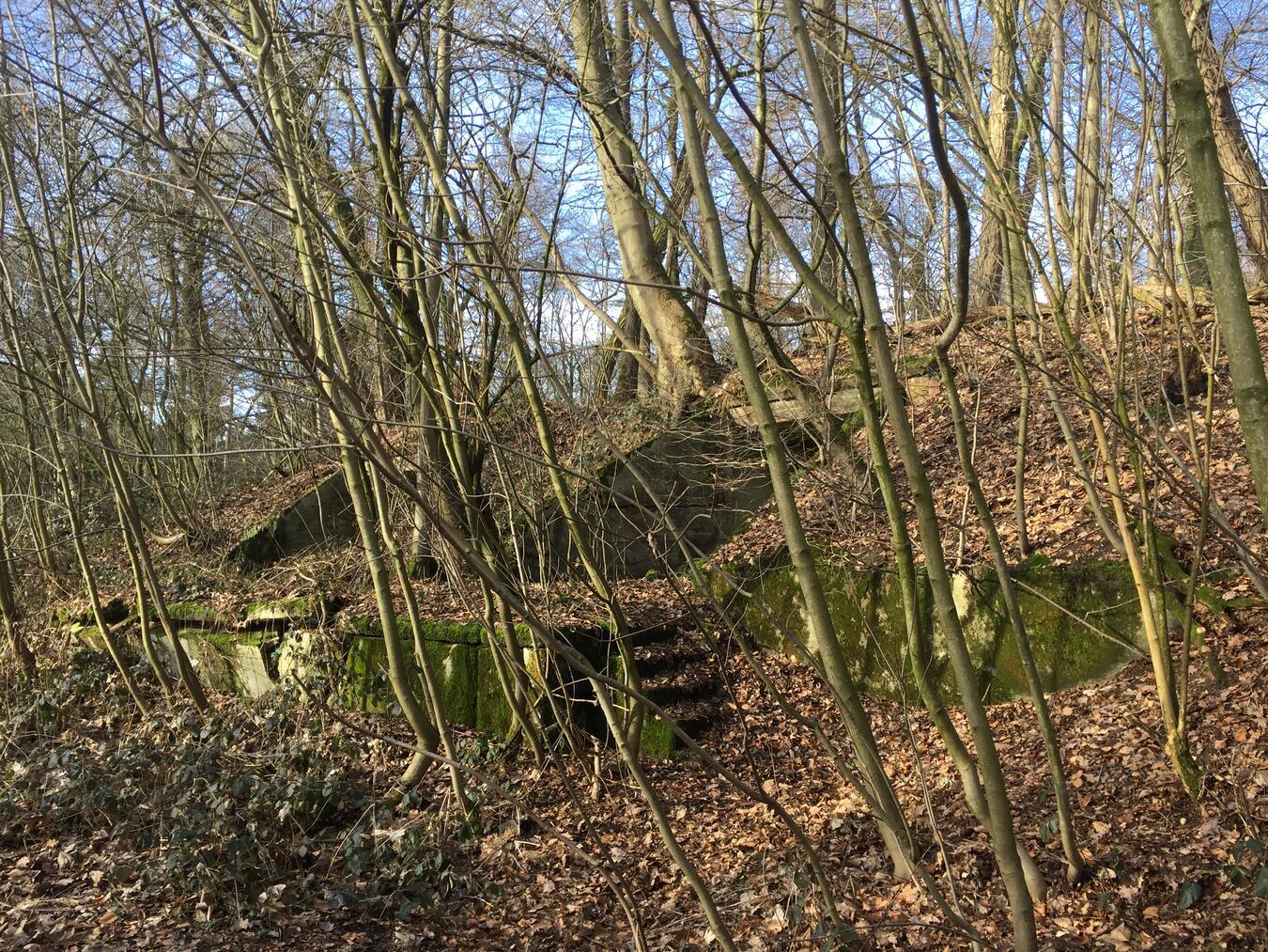 „80 Jahre Xanten“: Führung zu den Spuren der Luftmunitionsanstalt 2/VI in der Xantener Hees Foto: privat