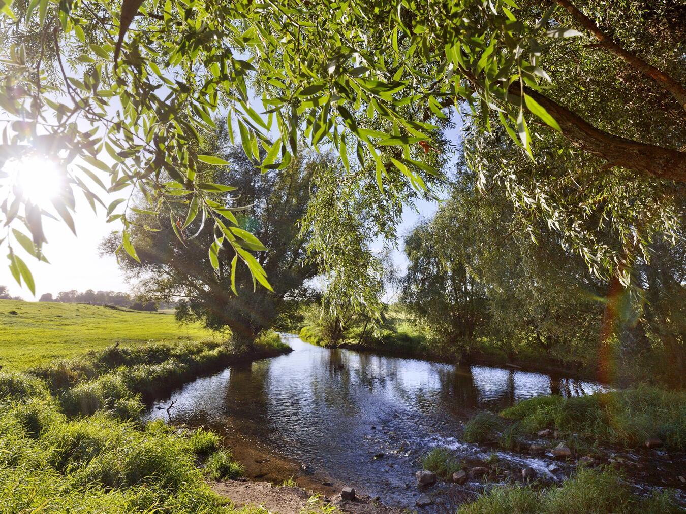 Foto: Stadt Rees/Buckstegen