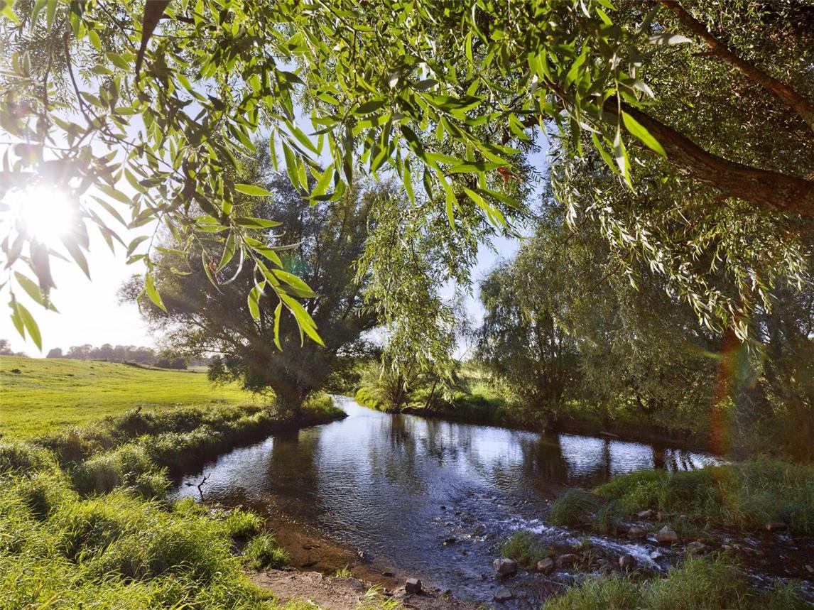 Foto: Stadt Rees/Buckstegen