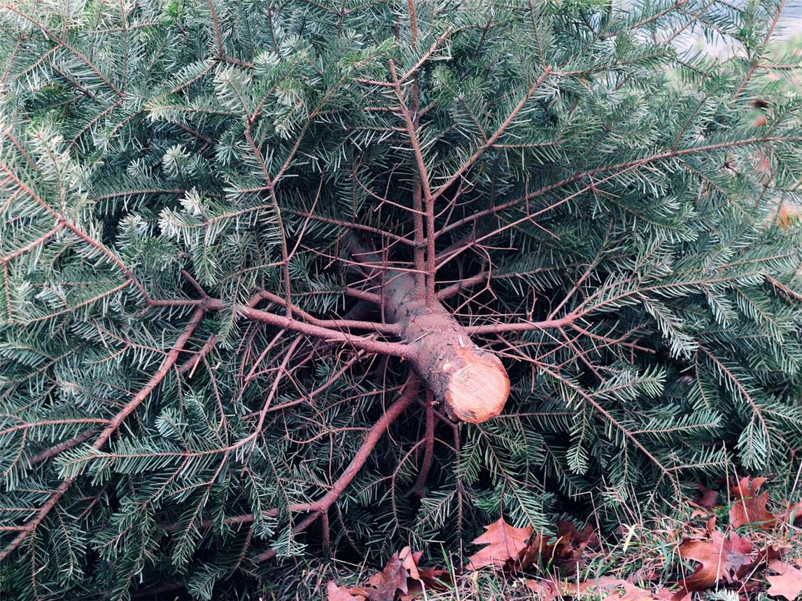 Foto: Stadt Rheinberg