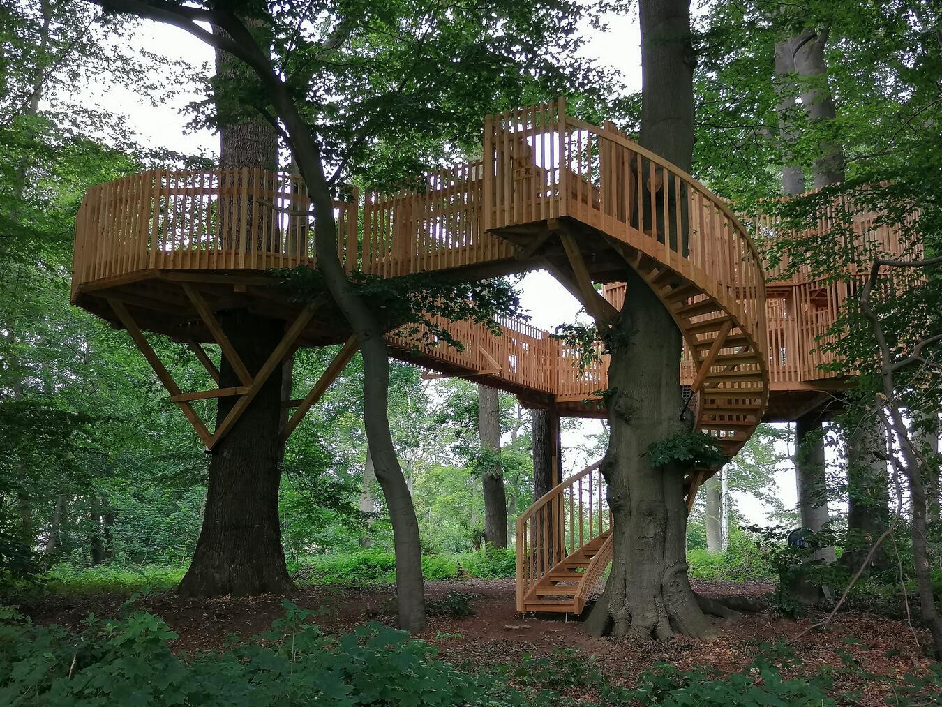 Foto: Stiftung Museum Schloss Moyland