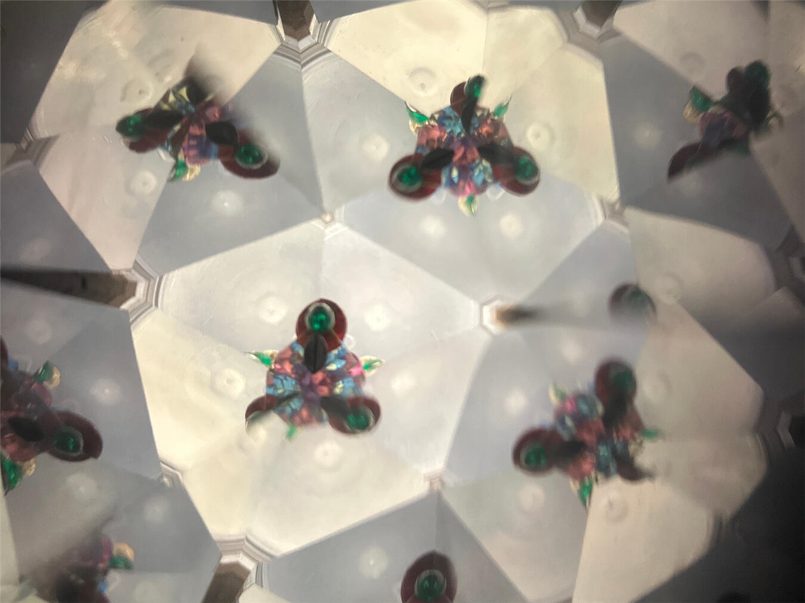 Foto: Stiftung Museum Schloss Moyland