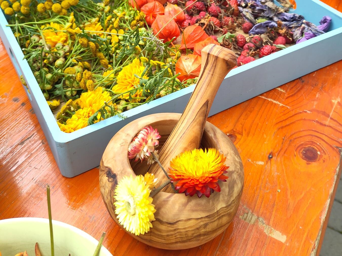 Foto: Sylke Döringhoff