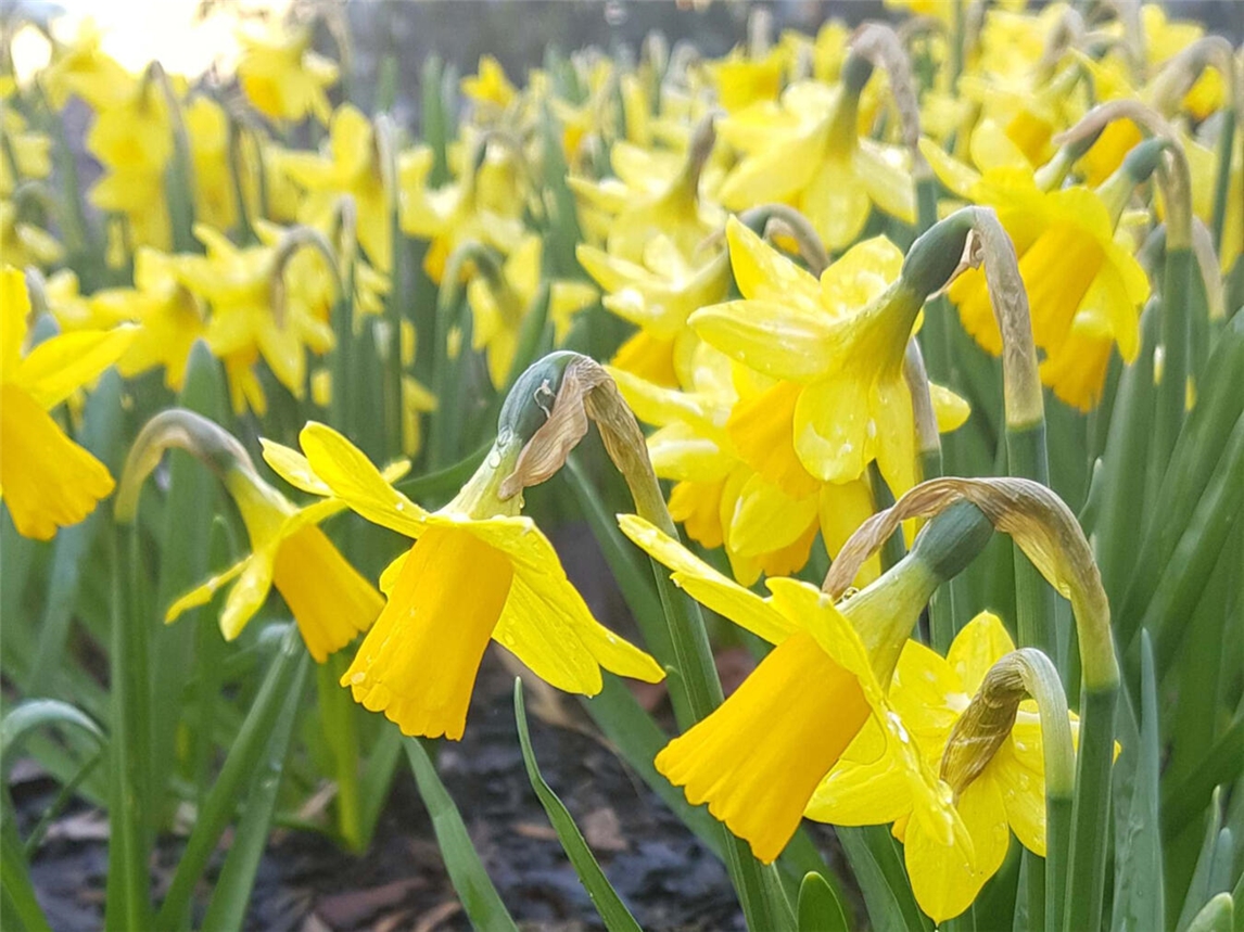 Foto: Tina Abbing, Haus Eyl 