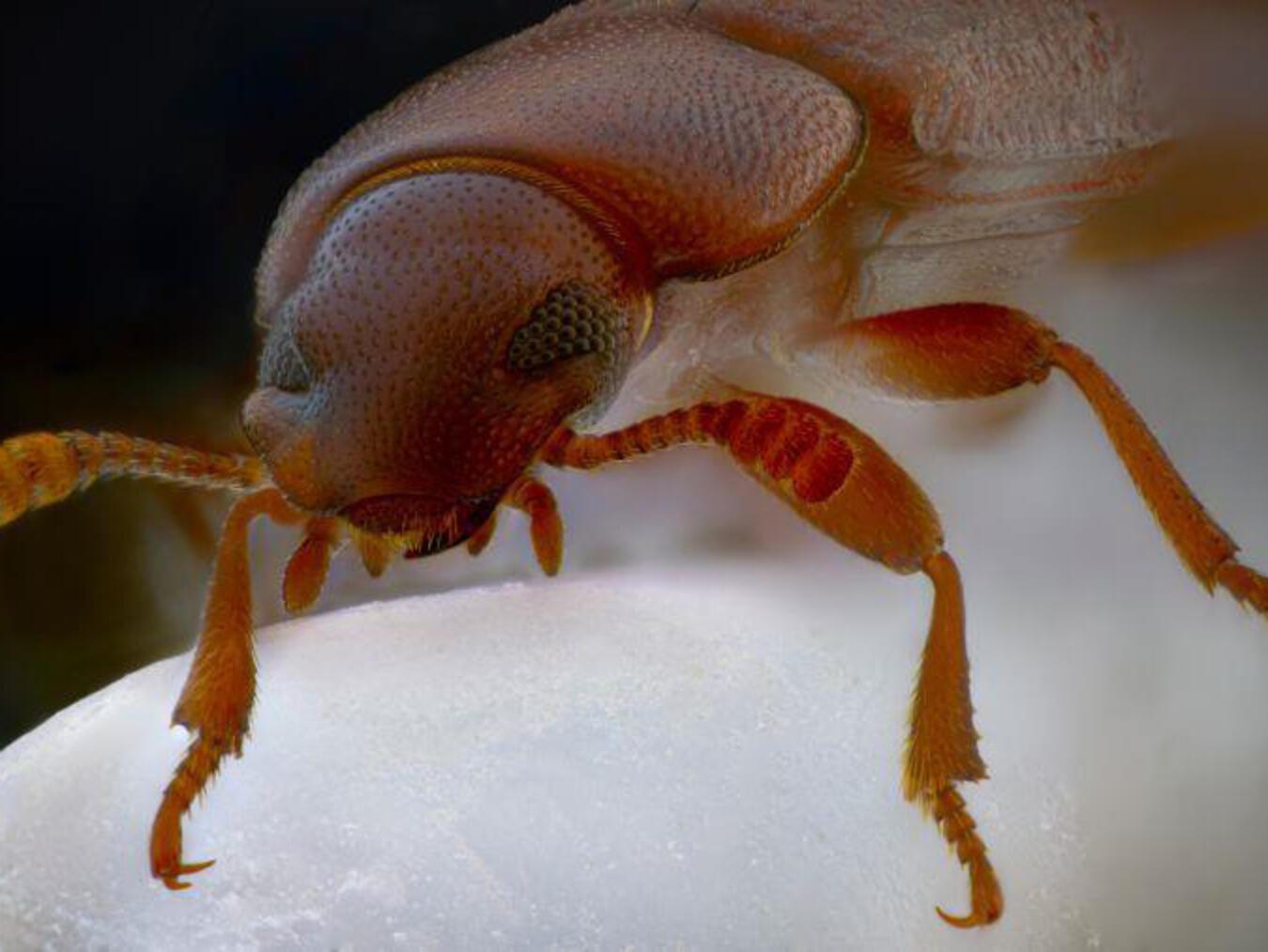 Foto: Ulrich Werneke