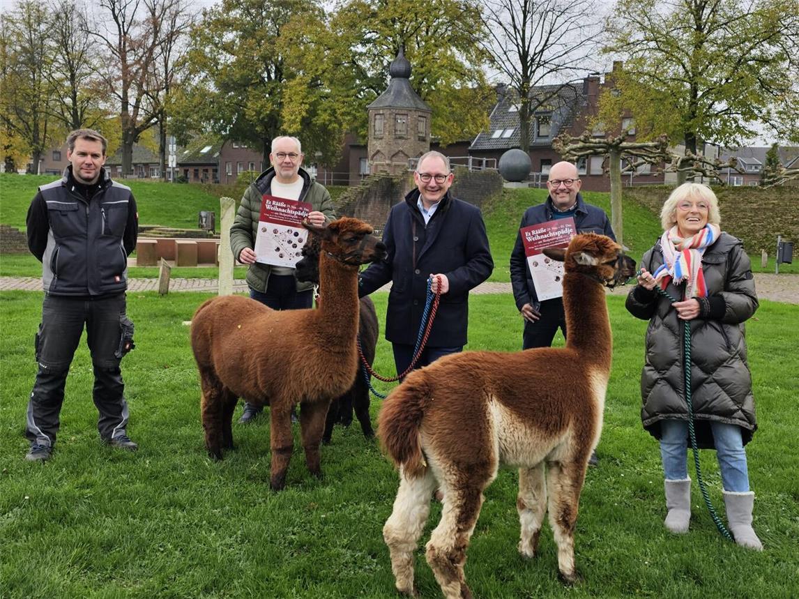 Freuen sich auf ein gemütliches Weihnachtspädje: (v.l.) Patrick Klaßen (Klaßen & Lühl), Bernd Hübner (VVV), Bürgermeister Sebastian Hense, Michael Kempkes (VVV) und Renate Bartmann (RWG) mit den Alpakas von Johannes und Maria Peters. NN-Foto: Thomas Langer