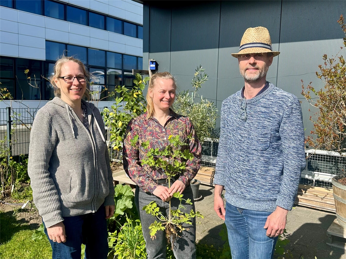 "Julia Gorris, Dr. Natalie Laibach, Dr. Jens Gebauer bei Vortrag an HSRW"