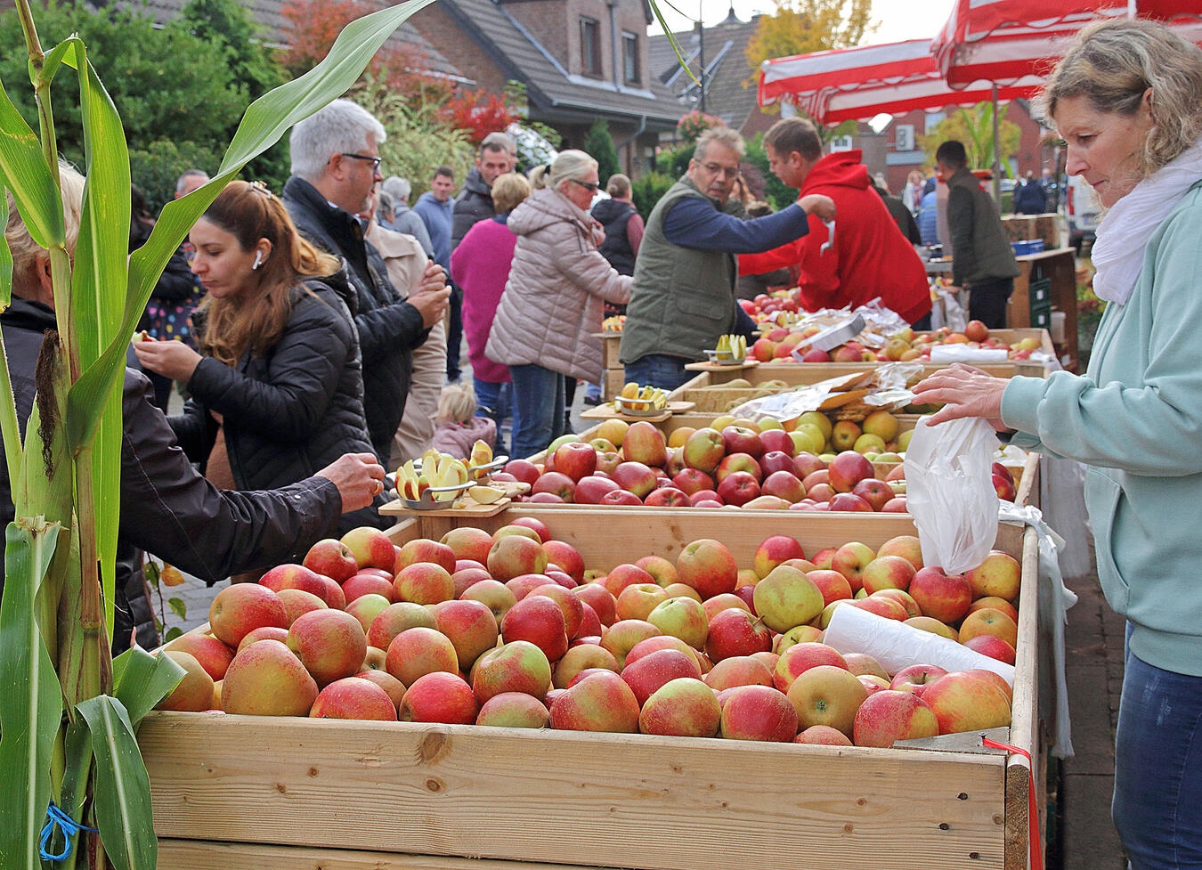 Frische Obst und Gemüse gibt es auf dem Herbst- und Kartoffelmarkt in Pont. NN-Foto: Archiv TL