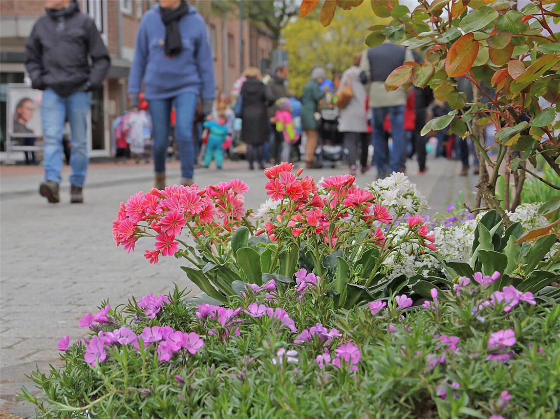 Frühlingsboten: Mit bunten Blumen lässt sich der Winterblues vertreiben. NN-Foto (Archiv): TL