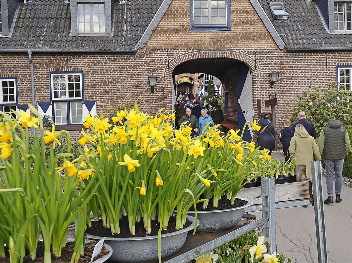 "Frühlingserwachen am Schloss Walbeck, blühende Blumen und historisches Gemäuer, Foto von Theo Leie"