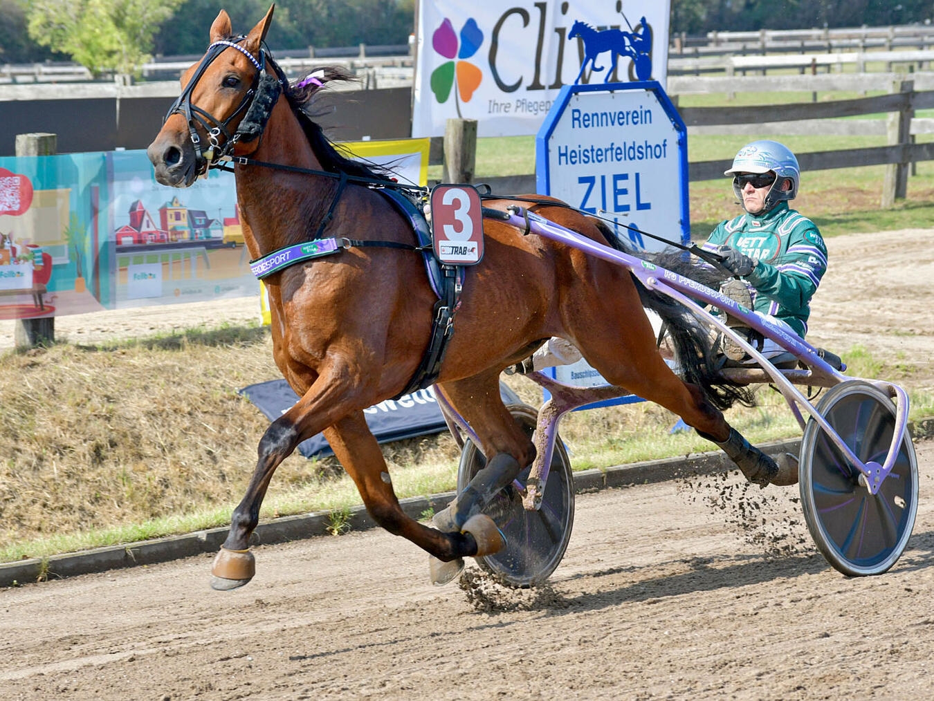 "Fünf Traber-Pferde bei einem Rennen am 20. September, Pferdesport, Trabrennen-Event"