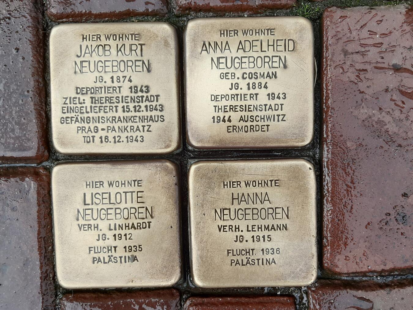 Gegen das Vergessen und gegen Antisemitismus will die AG Geschichte von Haus Mifgash ein Zeichen setzen. Foto: privat