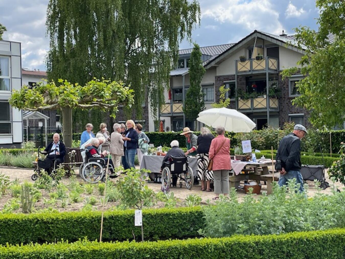 Heil- und Küchenkräuter präsentierte der Kneippverein im Kräutergarten. Foto: privat