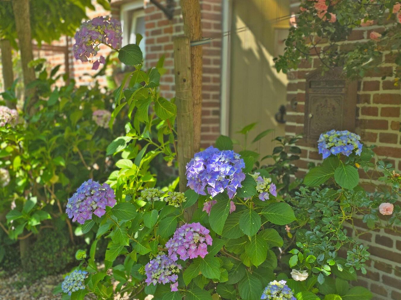 Hereinspaziert ... Sieben Gärten sind am Tag der offenen Gartentür zu sehen. NN-Foto: HF