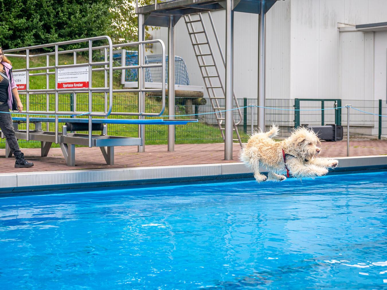 Kevelaerer Freibad
beendet die Saison Hinein ins kühle Nass. Foto: Wallfahrtsstadt Kevelaer