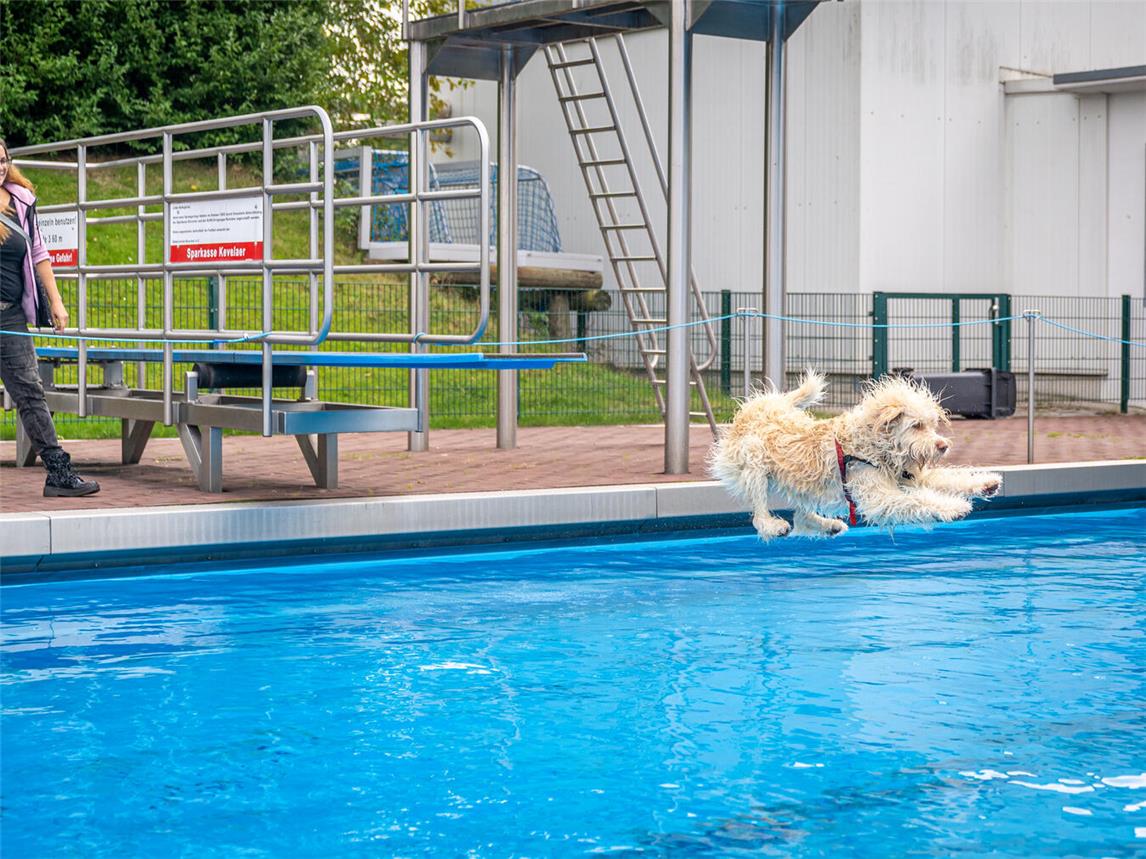 Hinein ins kühle Nass. Foto: Wallfahrtsstadt Kevelaer