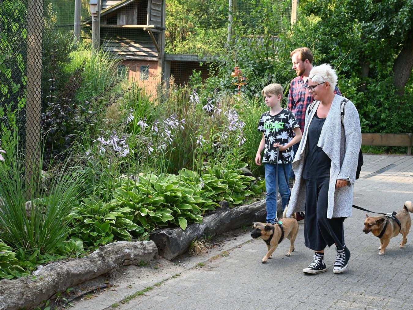 Hunde dürfen den Park immer montags und mittwochs begleiten. Foto: Tiergarten Kleve