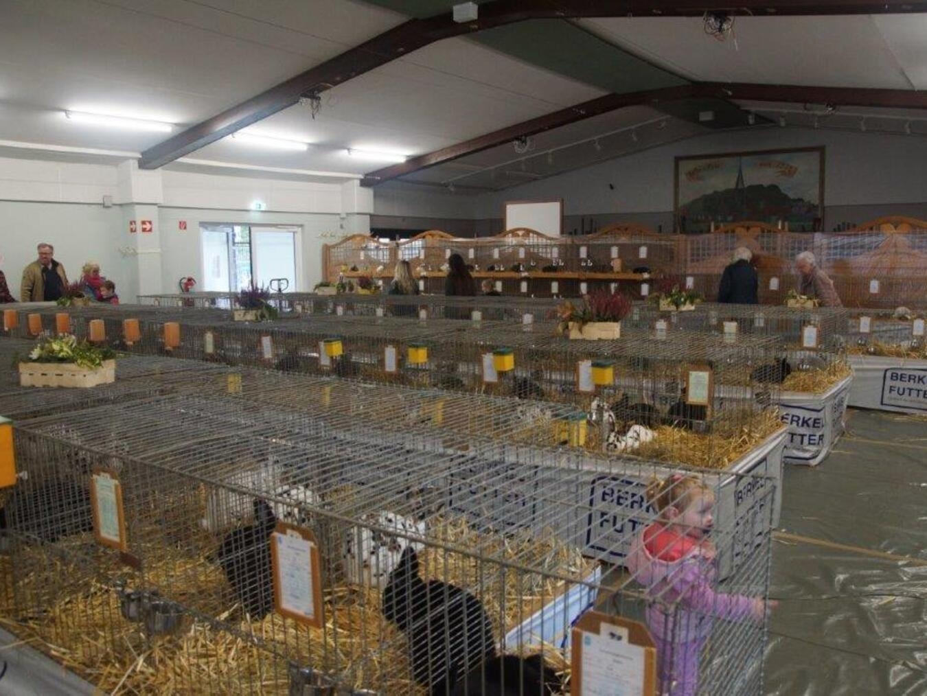 Züchter präsentieren rund 170 Kaninchen I der Schützenhalle in Haffen findet wieder die Kaninchenausstellung statt. Foto: privat