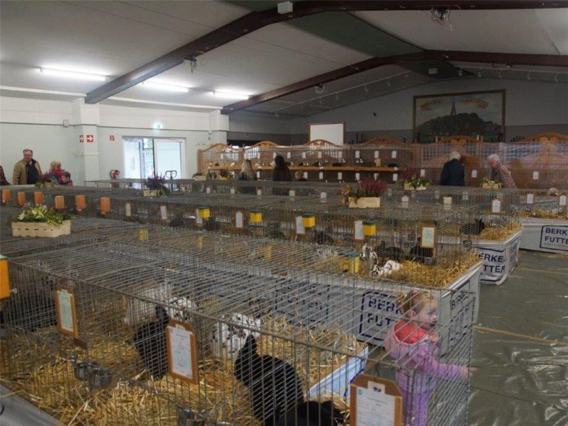 I der Schützenhalle in Haffen findet wieder die Kaninchenausstellung statt. Foto: privat