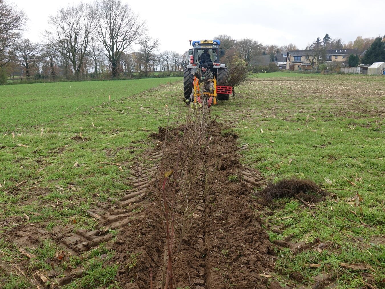Hecken in der Landwirtschaft: Mehr als eine Reihe von Sträuchern "Neuanlage von Hecken auf landwirtschaftlichen Flächen im Interreg-Projekt 'Grenzenlose Landschaft', Foto: NZ Kleve"