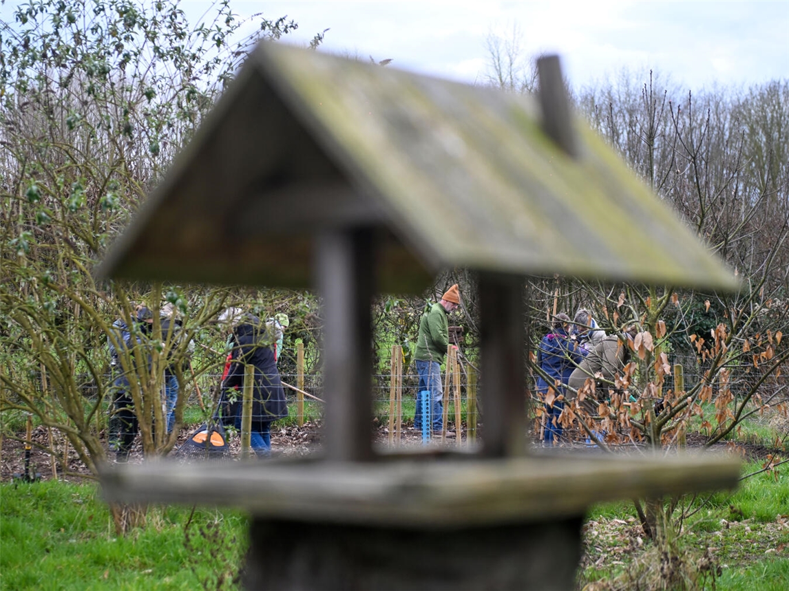 Im Kneipp-Erlebnis-Garten in Wetten finden 2026 neue Workshops statt. Foto: Norbert Prümen