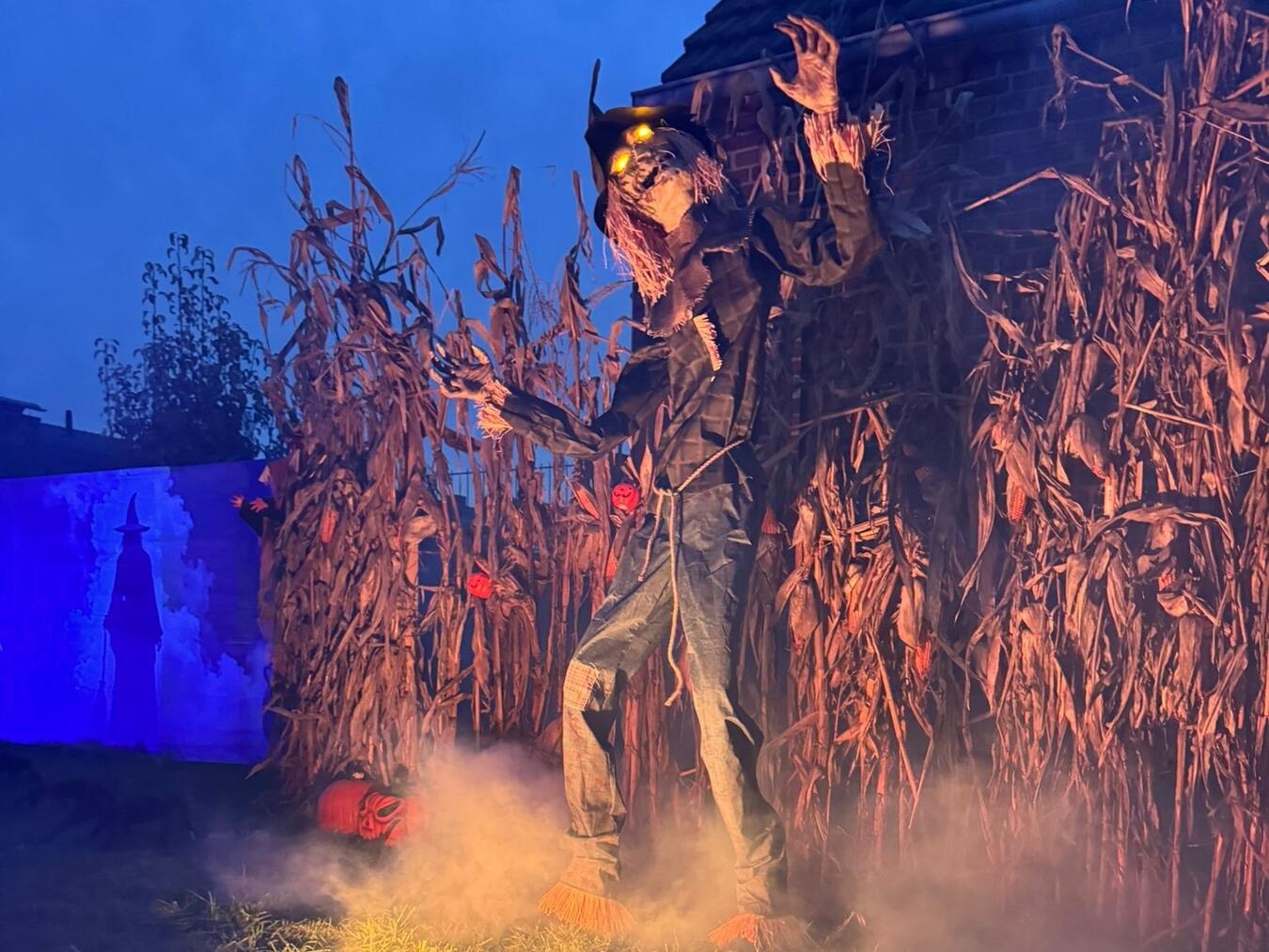 "Gruselige Gestalten im Maisfeld an Halloween-Nacht"