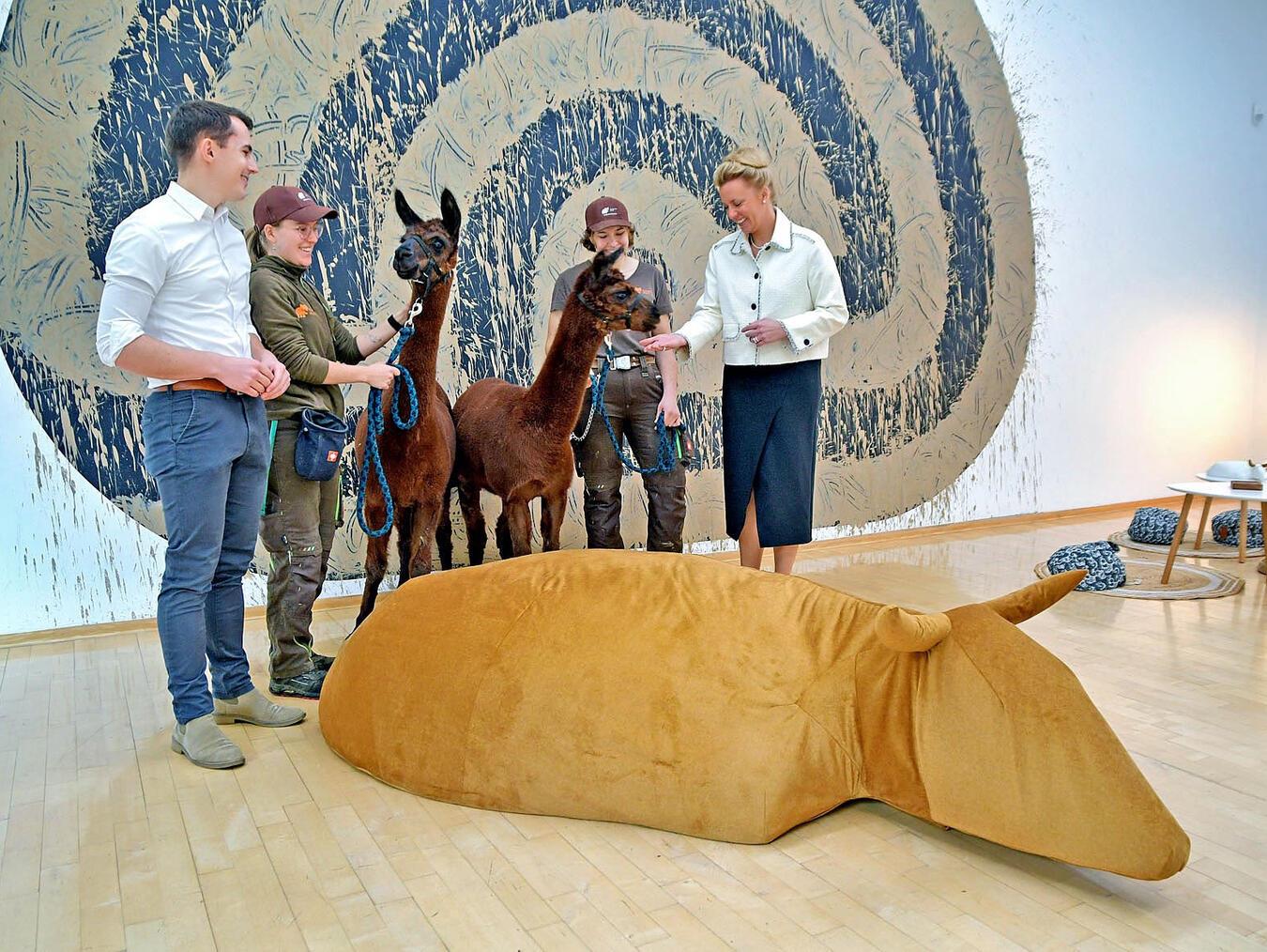 Ewald Mataré: Full House Im Museum Kurhaus wurde jetzt die Ausstellung „Ewald Mataré Kosmos“ eröffnet. Zum Rahmenprogramm gehört auch ein zoologisch-kunsthistorischer Podcast mit dem Direktor des Museums, Harald Kunde, und dem Leiter des Klever Tiergartens, Martin Polotzek. Der kam am Sonntag gleich mit zwei Mitarbeiterinnen und zwei Alpakas vorbei. Über das tierische Interesse freute sich auch NRW-Kulturministerin Ina Brandes. NN-Foto: Rüdiger Dehnen
