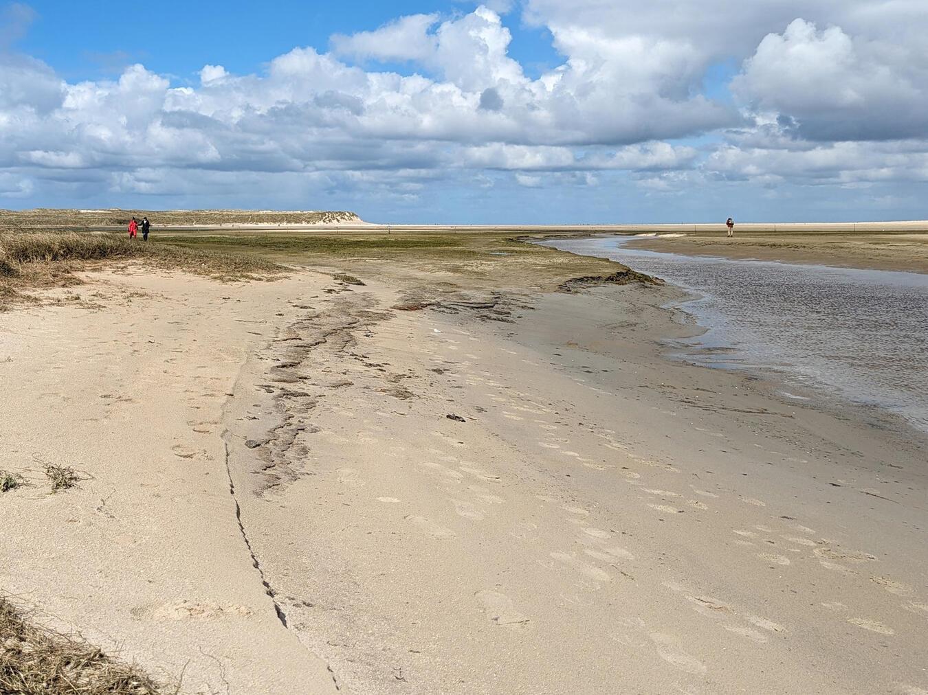 Im Naturschutzgebiet De Slufter findet man Pflanzen und Tiere, die sich auf das Salzwasser eingestellt haben.NN-Fotos: vs