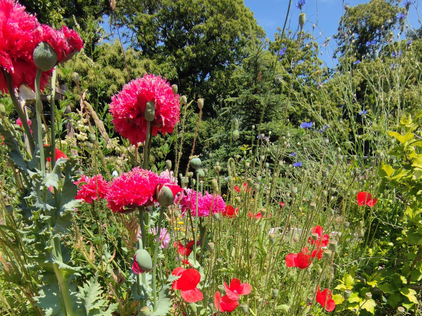Im Park Emsflower gibt es viel zu entdecken.