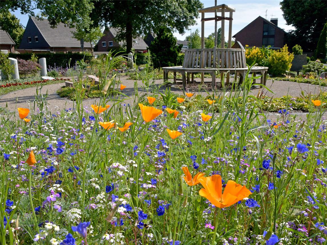 Im Sommer wimmelt es hier von Insekten, die reichlich Nahrung finden. NN-Foto: Rüdiger Dehnen