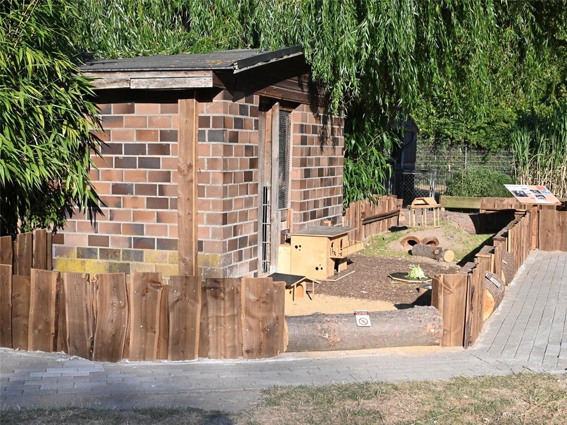 "Neugestaltete Meerschweinchen-Außenanlage im Tiergarten Kleve, doppelt so groß wie zuvor"