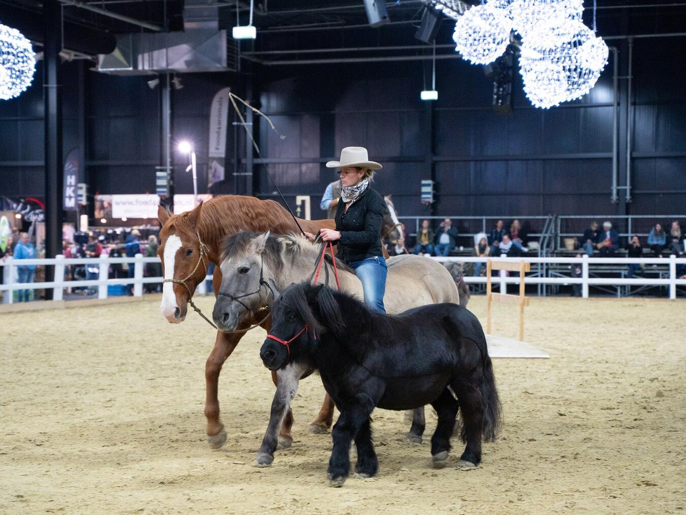 Erlebniswelt Pferd Im Viereck zeigen Pferde an allen Tagen ein Showprogramm. Foto: Messe Kalkar